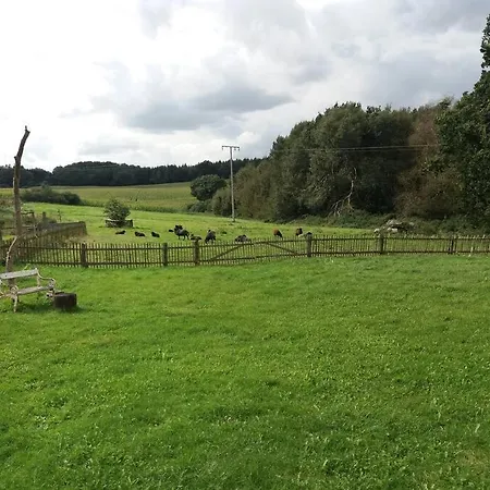 Exklusivewohnung Mitten In Der - Ruth's Nest 公寓