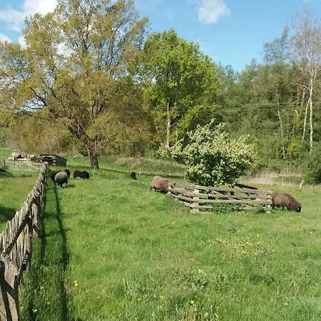 Exklusivewohnung Mitten In Der - Ruth's Nest *