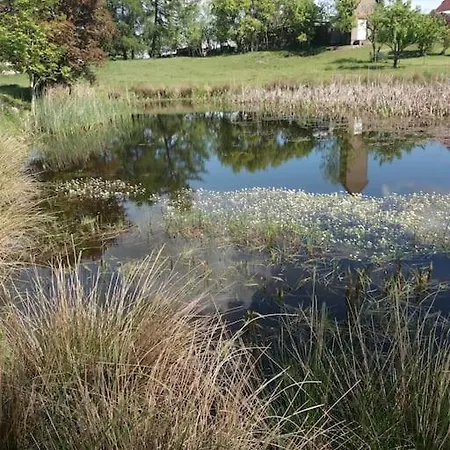 Exklusivewohnung Mitten In Der - Ruth's Nest