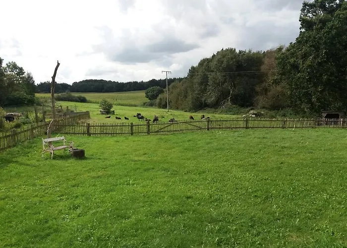 Exklusivewohnung Mitten In Der - Ruth's Nest Apartment