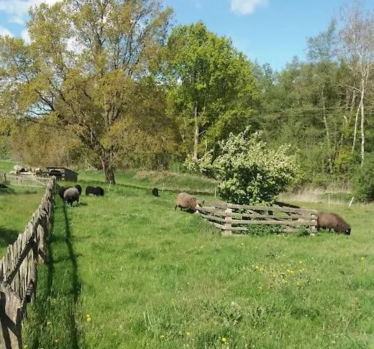 Exklusivewohnung Mitten In Der - Ruth's Nest *