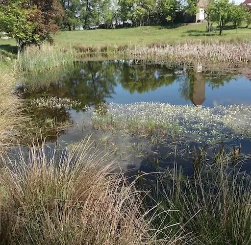 Exklusivewohnung Mitten In Der - Ruth's Nest